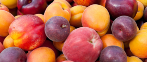 Juicy pile of peaches and plums to hydrate in hot weather.
