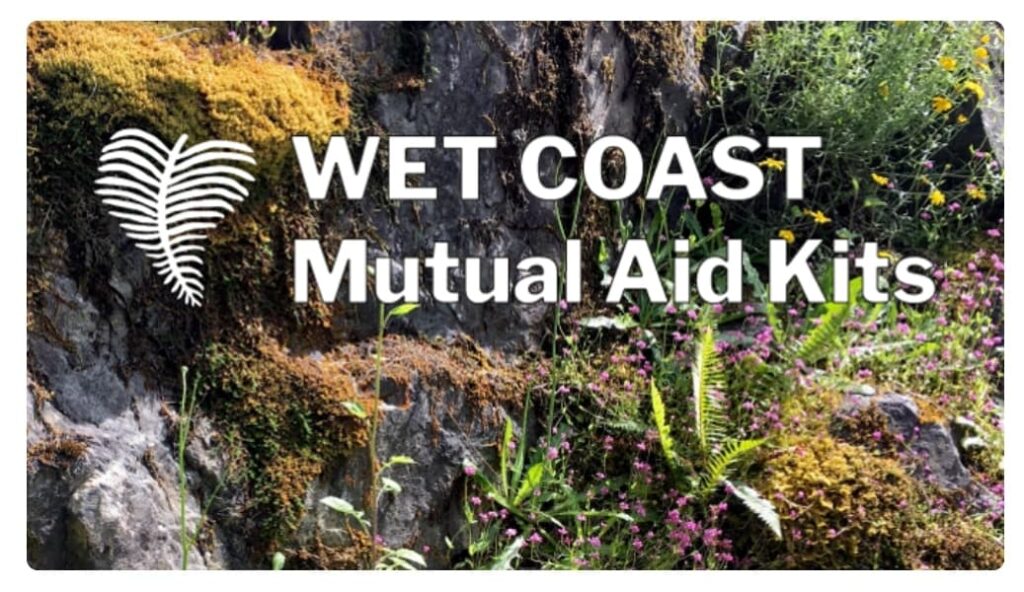 Wet Coast Mutual Aid Kits Header, forest floor