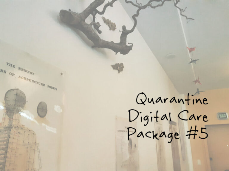 Quarantine Digital Care Package #5
